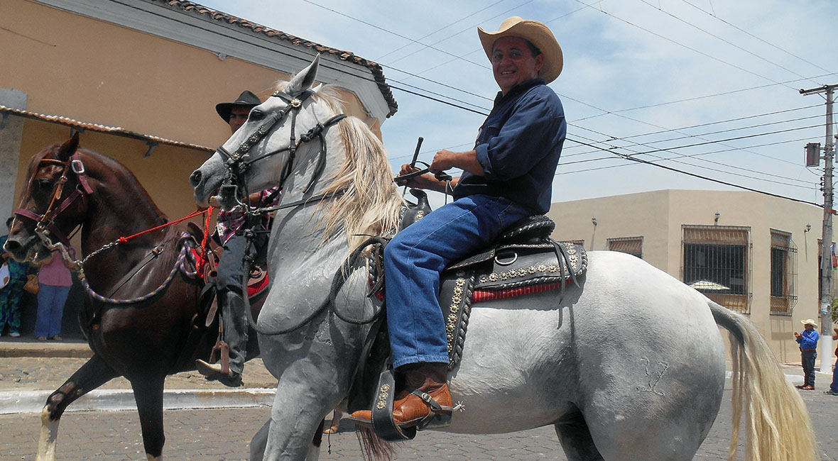 Caballo y jinete en el desfile de la calle en suchitoto el salvador